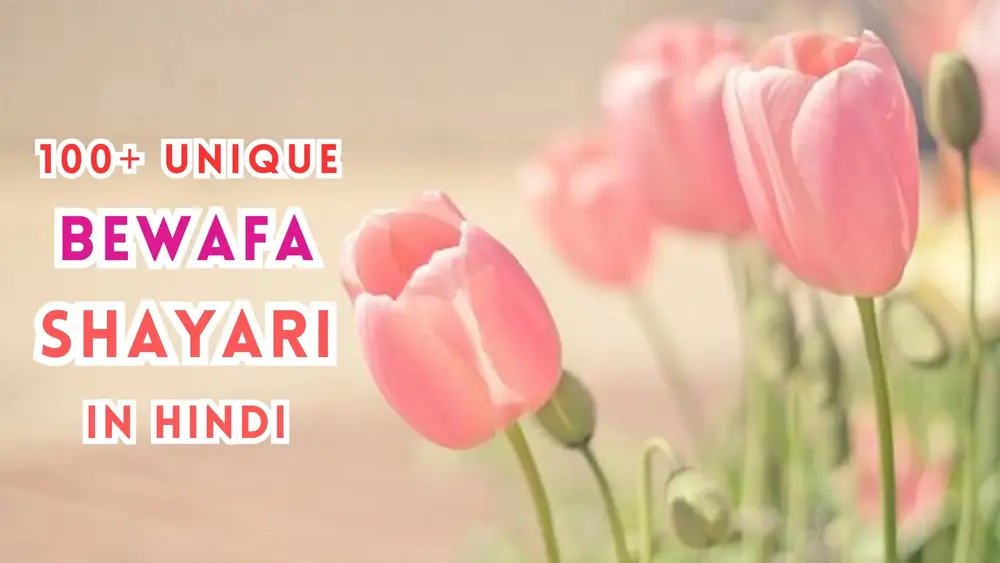 Latest Bewafa Shayari in Hindi | बेवफाई शायरी दिल टूटने वाली